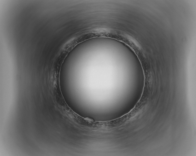 X0000110731016200906121444