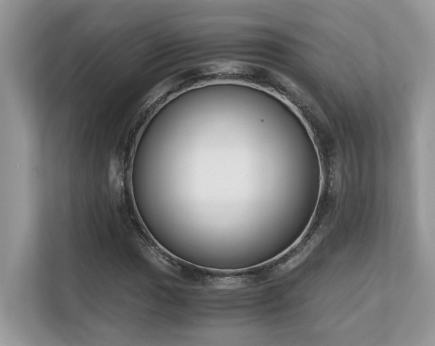 X0000110731017200906121444