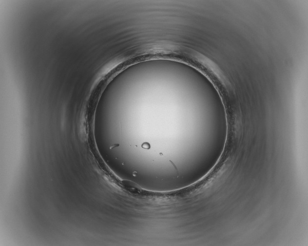 X0000110731018200906121444