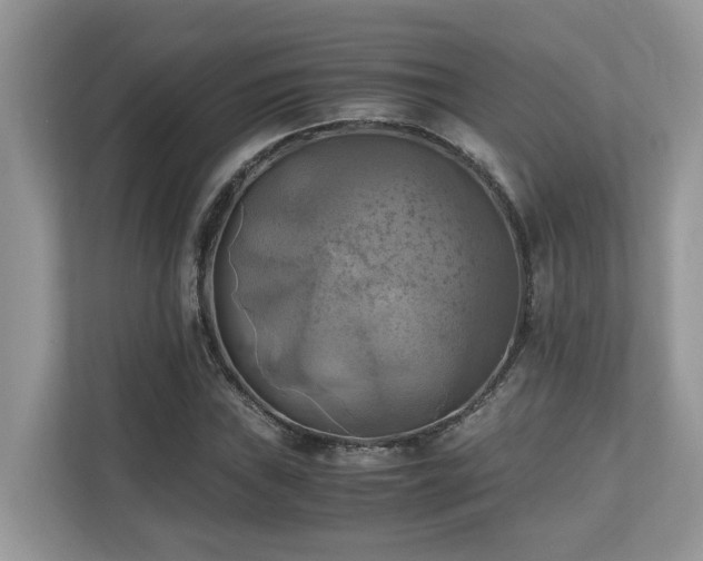 X0000110731019200906121444