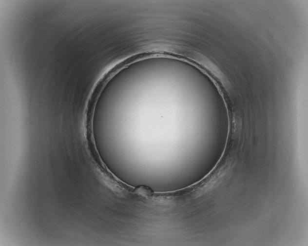 X0000110731020200906121444