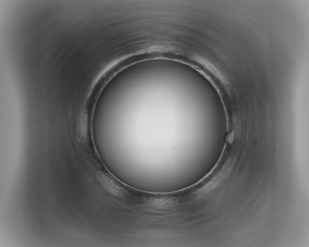 X0000110731021200906121444