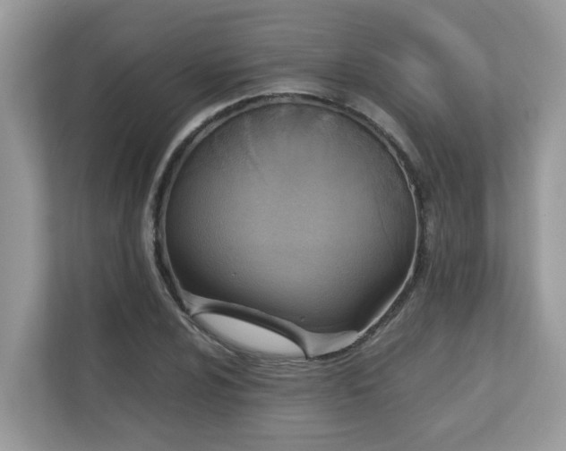 X0000110731024200906121444