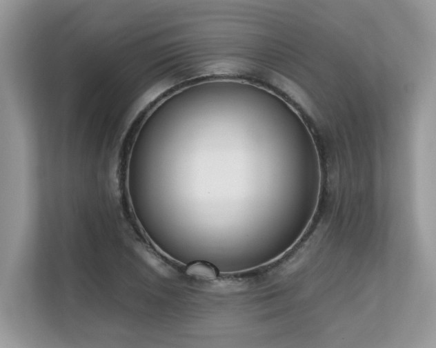 X0000110731026200906121444