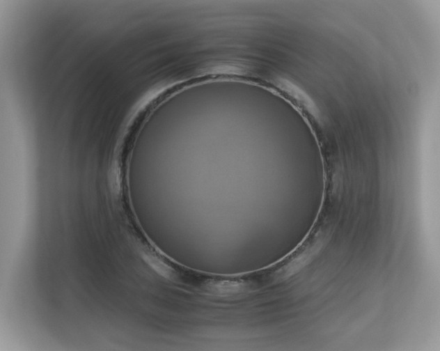 X0000110731027200906121444