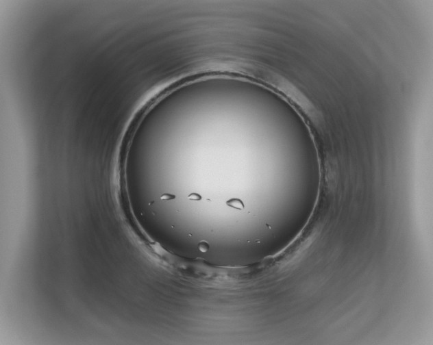 X0000110731028200906121444