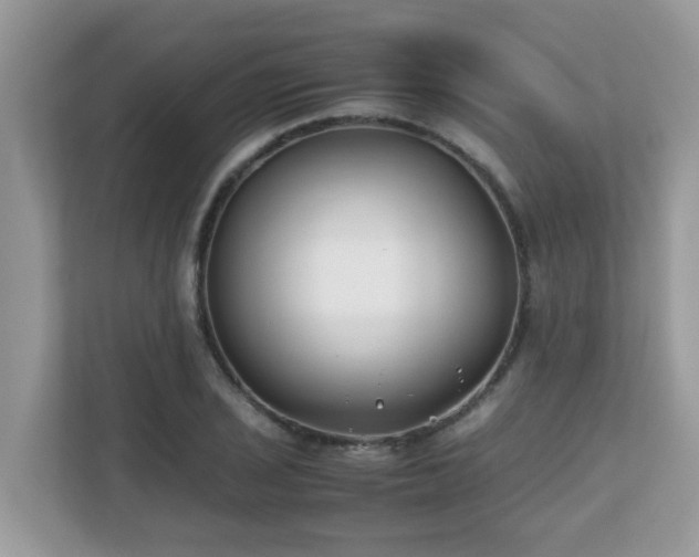 X0000110731029200906121444