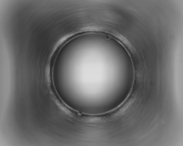 X0000110731030200906121444