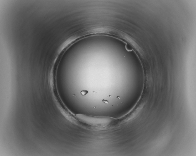 X0000110731034200906121444