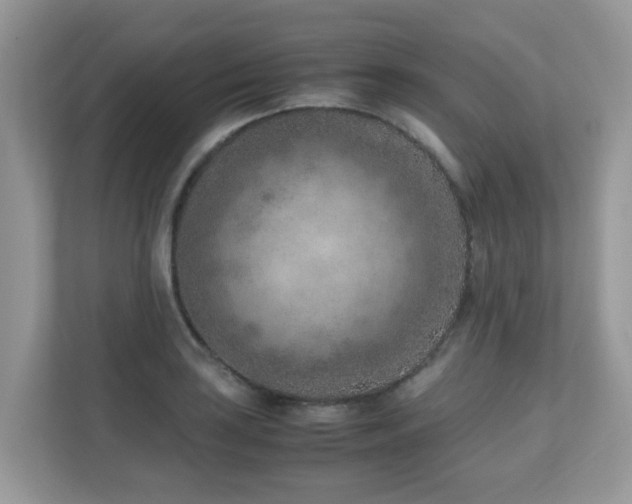 X0000110731035200906121444