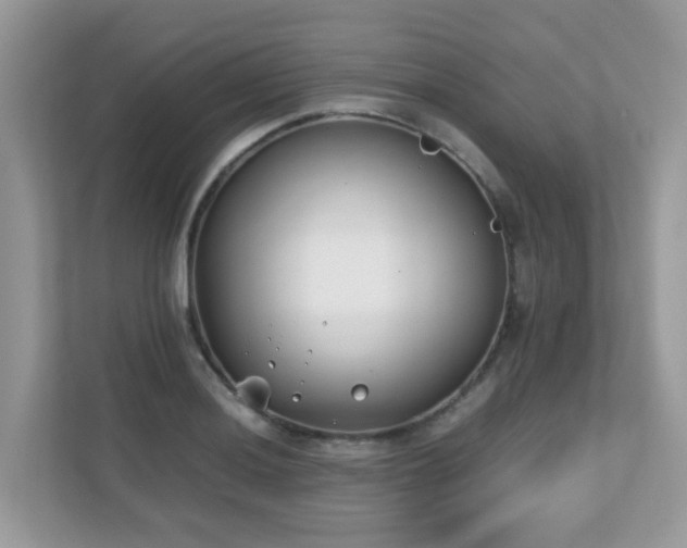 X0000110731036200906121444