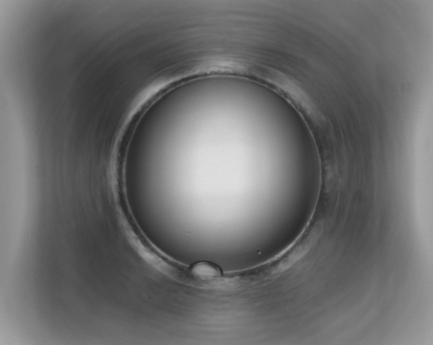 X0000110731038200906121444