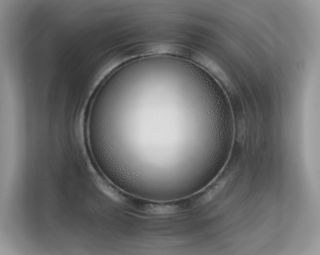 X0000110731039200906121444