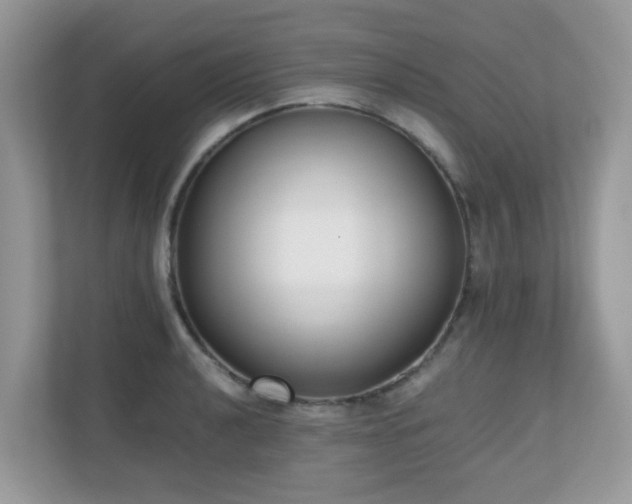 X0000110731040200906121444