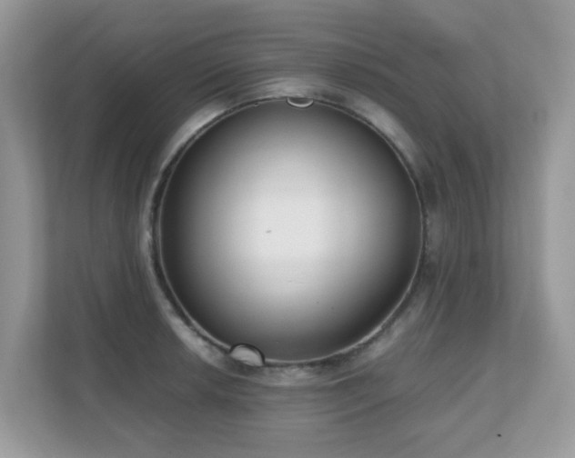 X0000110731042200906121444