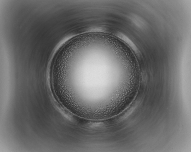 X0000110731043200906121444
