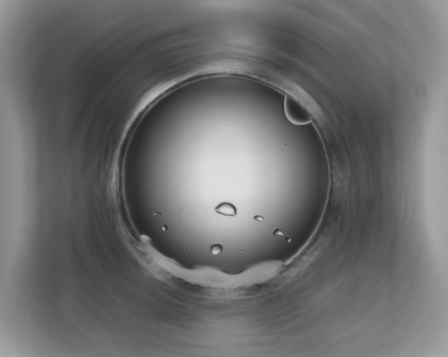 X0000110731044200906121444