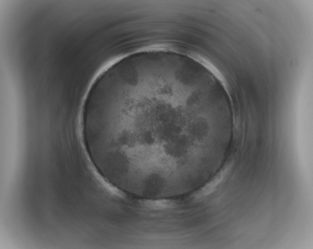 X0000110731045200906121444