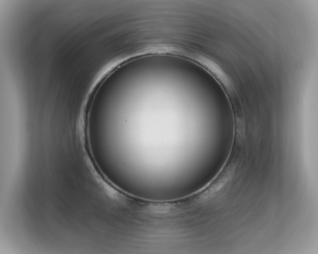 X0000110731046200906121444