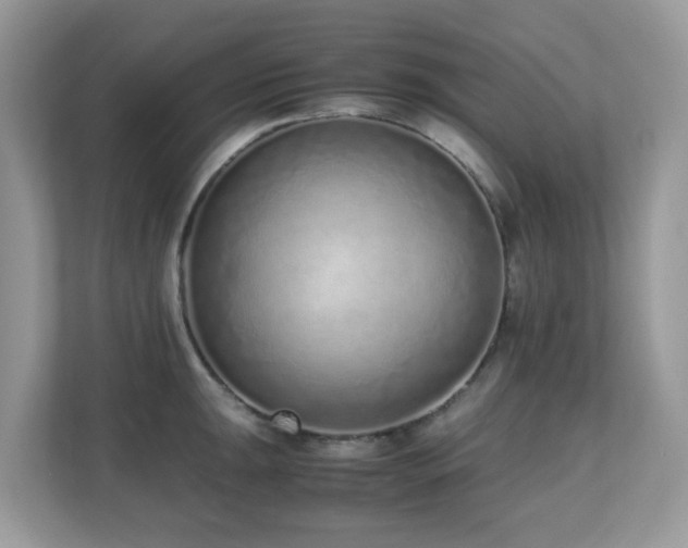 X0000110731047200906121444