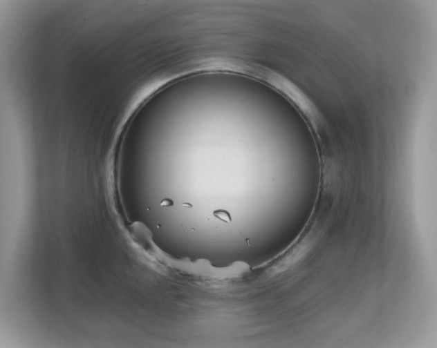 X0000110731048200906121444