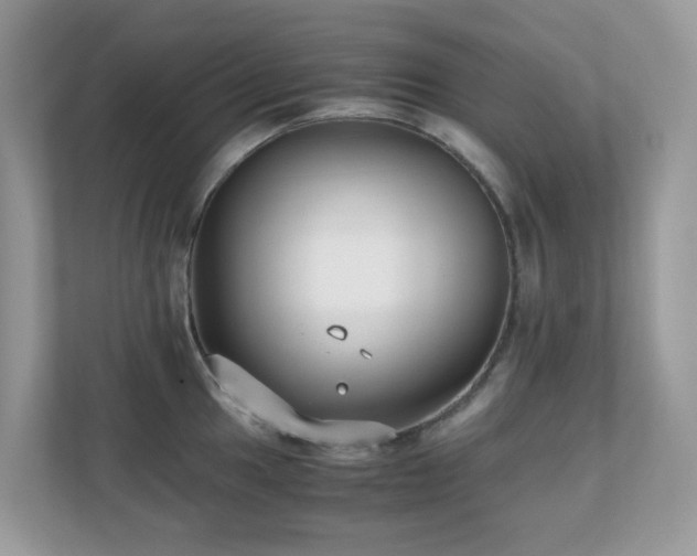 X0000110731049200906121444