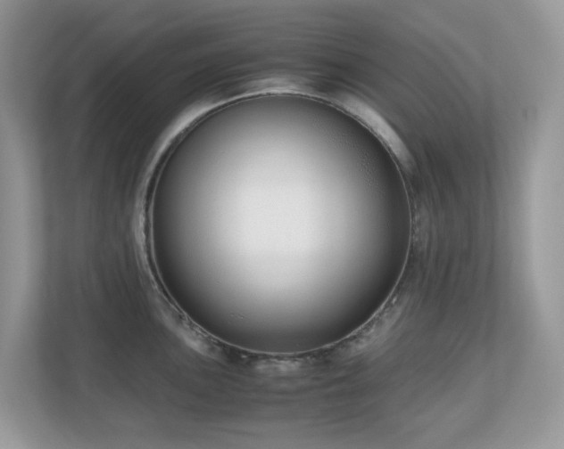 X0000110731051200906121444