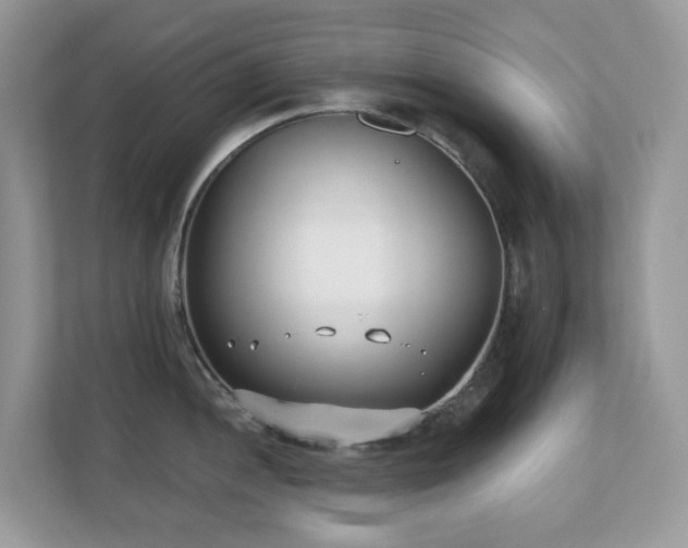 X0000110731052200906121444
