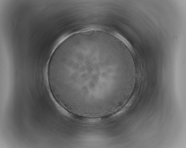 X0000110731055200906121444