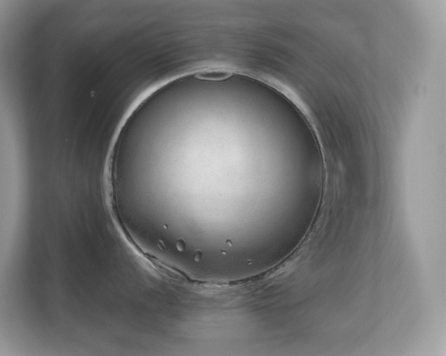 X0000110731056200906121444