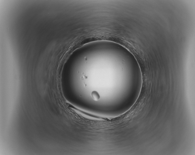 X0000110731057200906121444