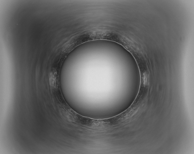 X0000110731059200906121444