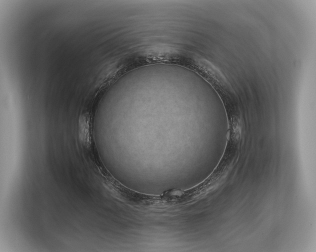 X0000110731060200906121444
