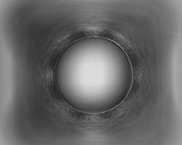 X0000110731061200906121444