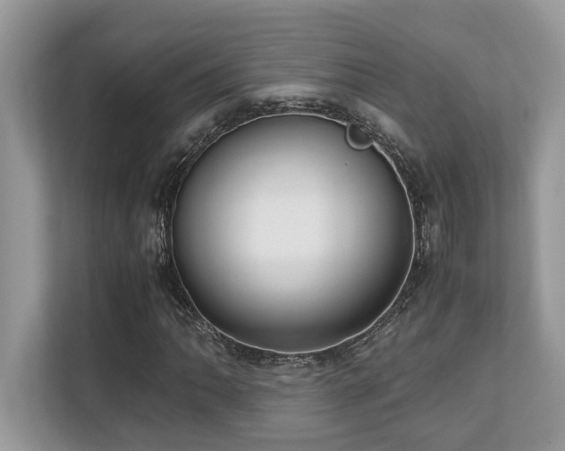 X0000110731062200906121444