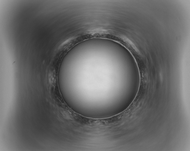 X0000110731063200906121444