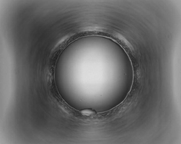 X0000110731064200906121444
