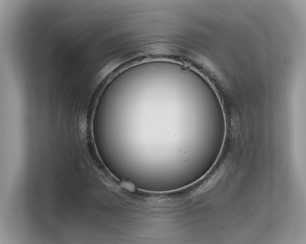 X0000110731065200906121444