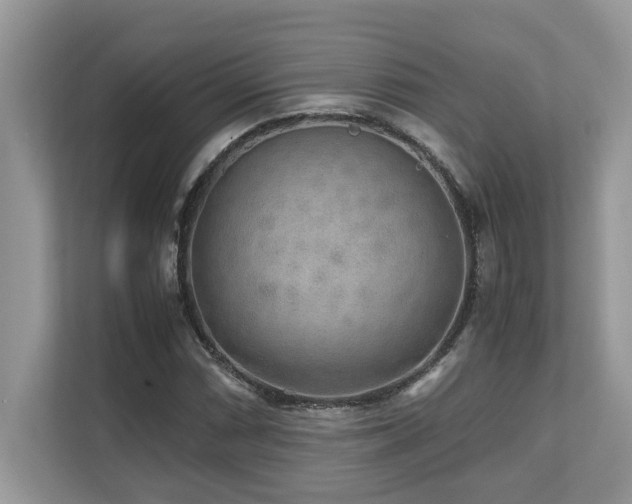 X0000110731066200906121444
