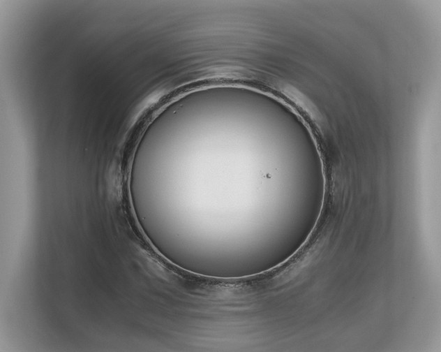 X0000110731067200906121444