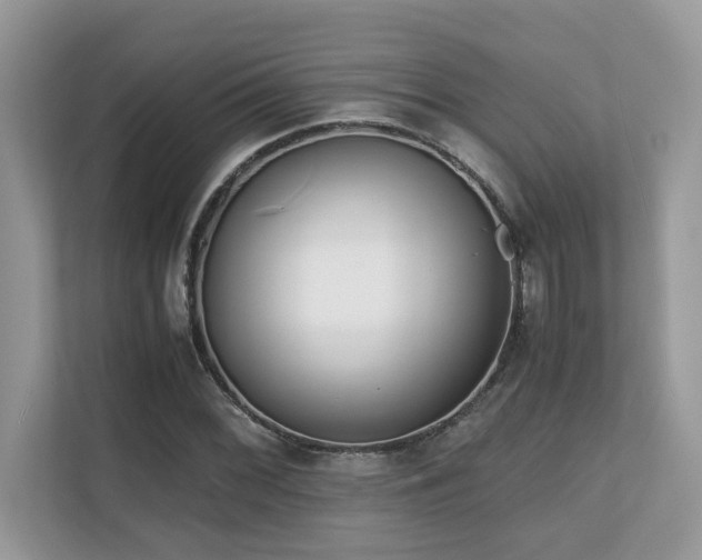X0000110731068200906121444