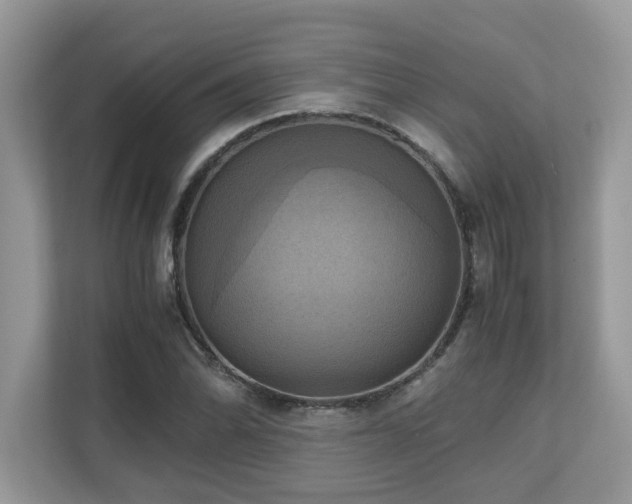 X0000110731070200906121444