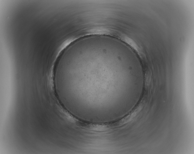 X0000110731071200906121444