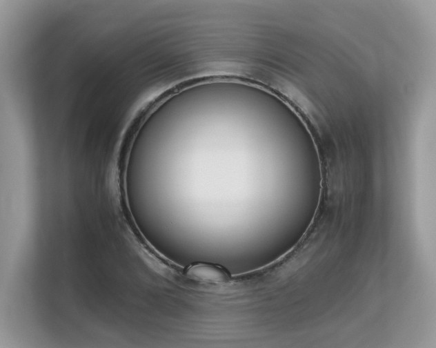 X0000110731072200906121444