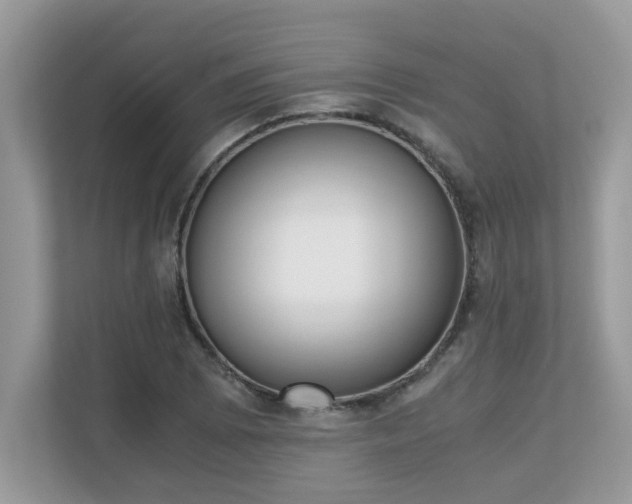 X0000110731073200906121444
