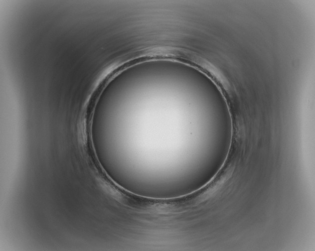 X0000110731075200906121444
