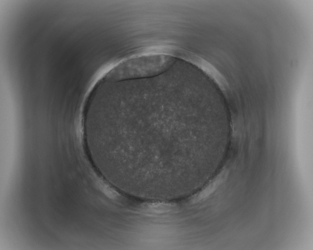 X0000110731077200906121444