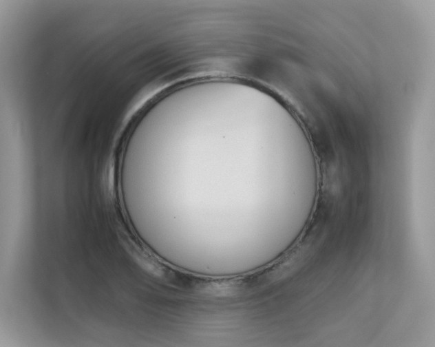 X0000110731078200906121444