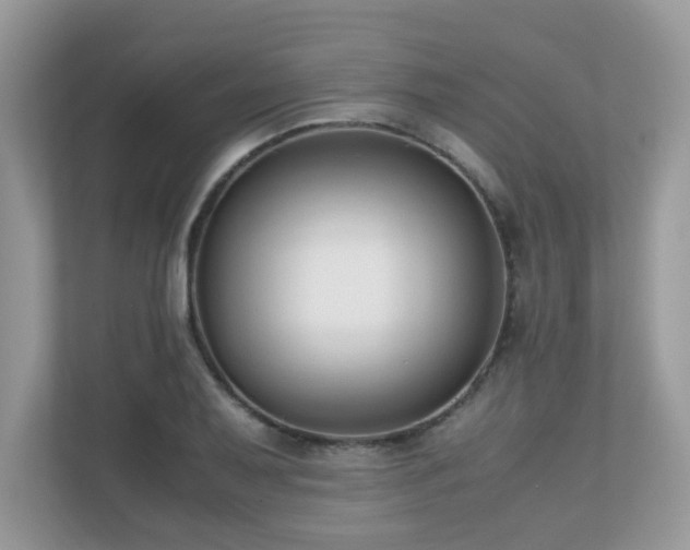 X0000110731079200906121444