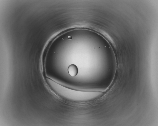 X0000110731080200906121443